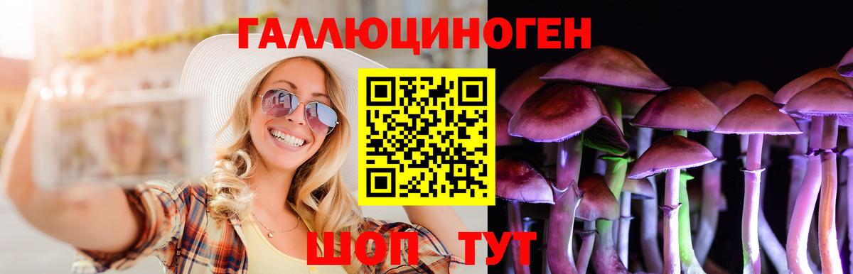 Верхняя Пышма  Меф кристаллы  Вход с VPN  Магазины продажи наркотиков  Гашиш  Конопля  Cocaine 