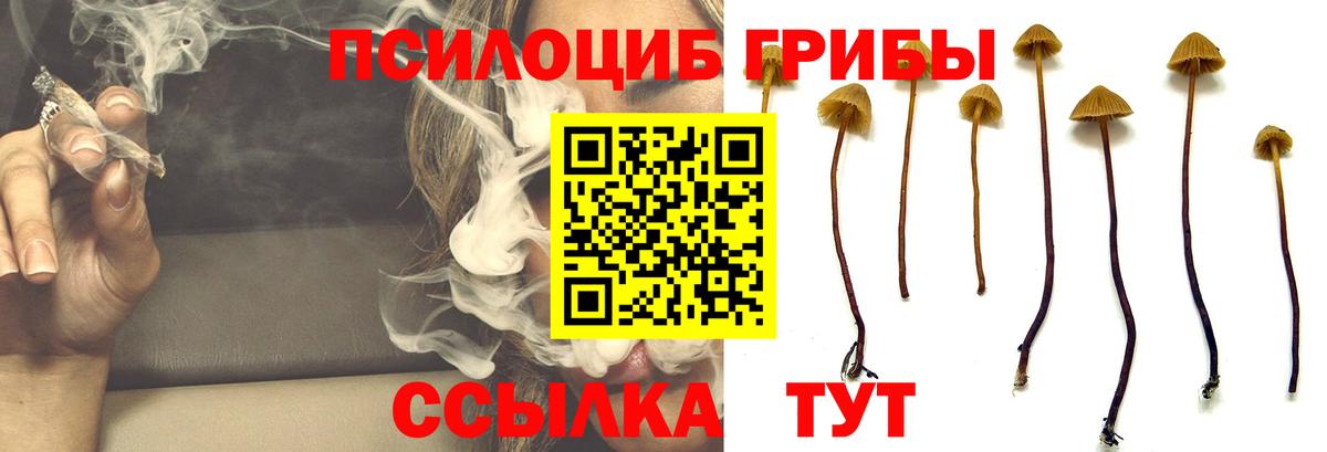Верхняя Пышма  закладки  Вход с VPN  Псилоцибиновые грибы ЛСД 
